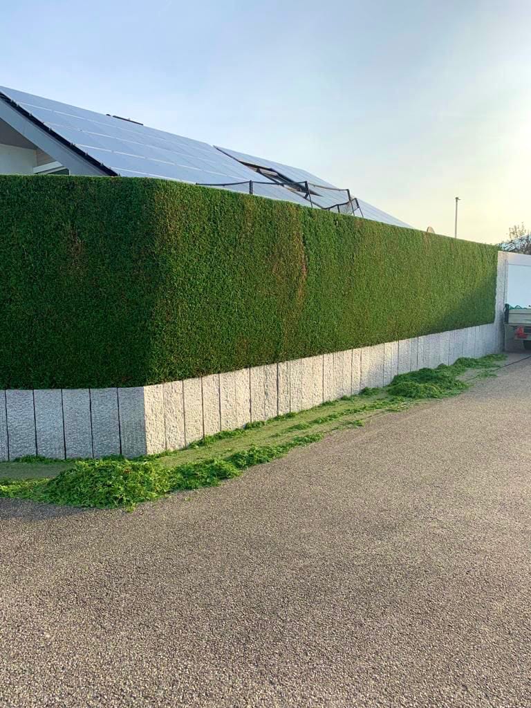 Sauberer Abschluss ums Grundstück