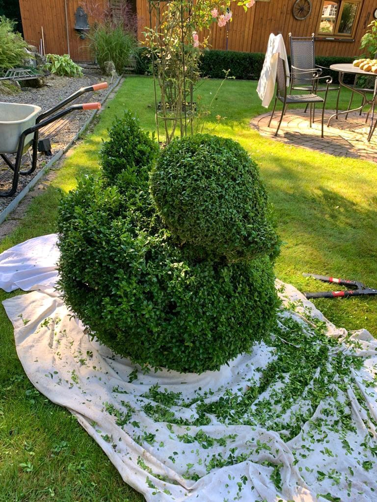 5D61EE5D C04B-49A6-86F9-69CA1D1A0752.jpeg