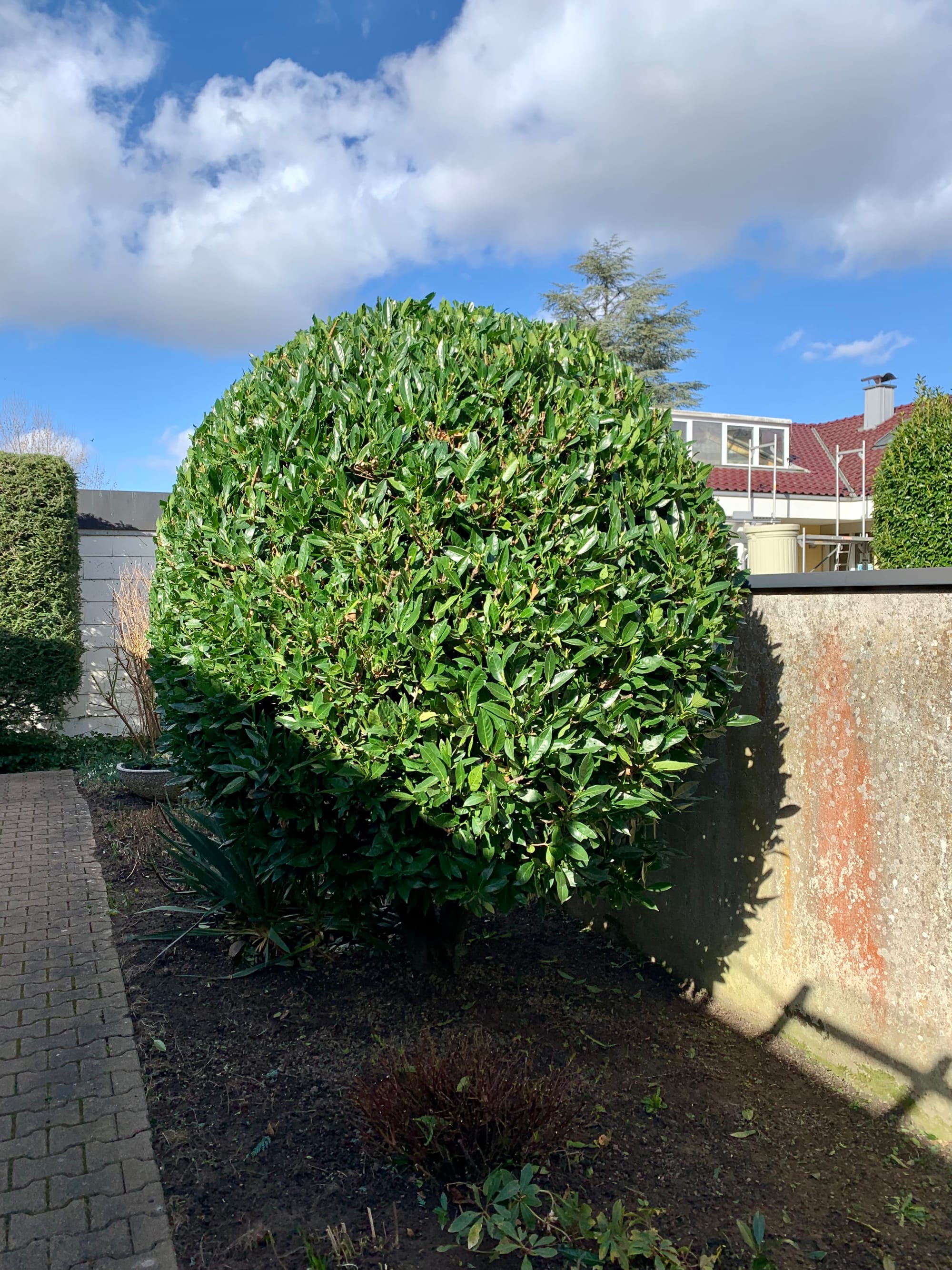 placeholder image-sq